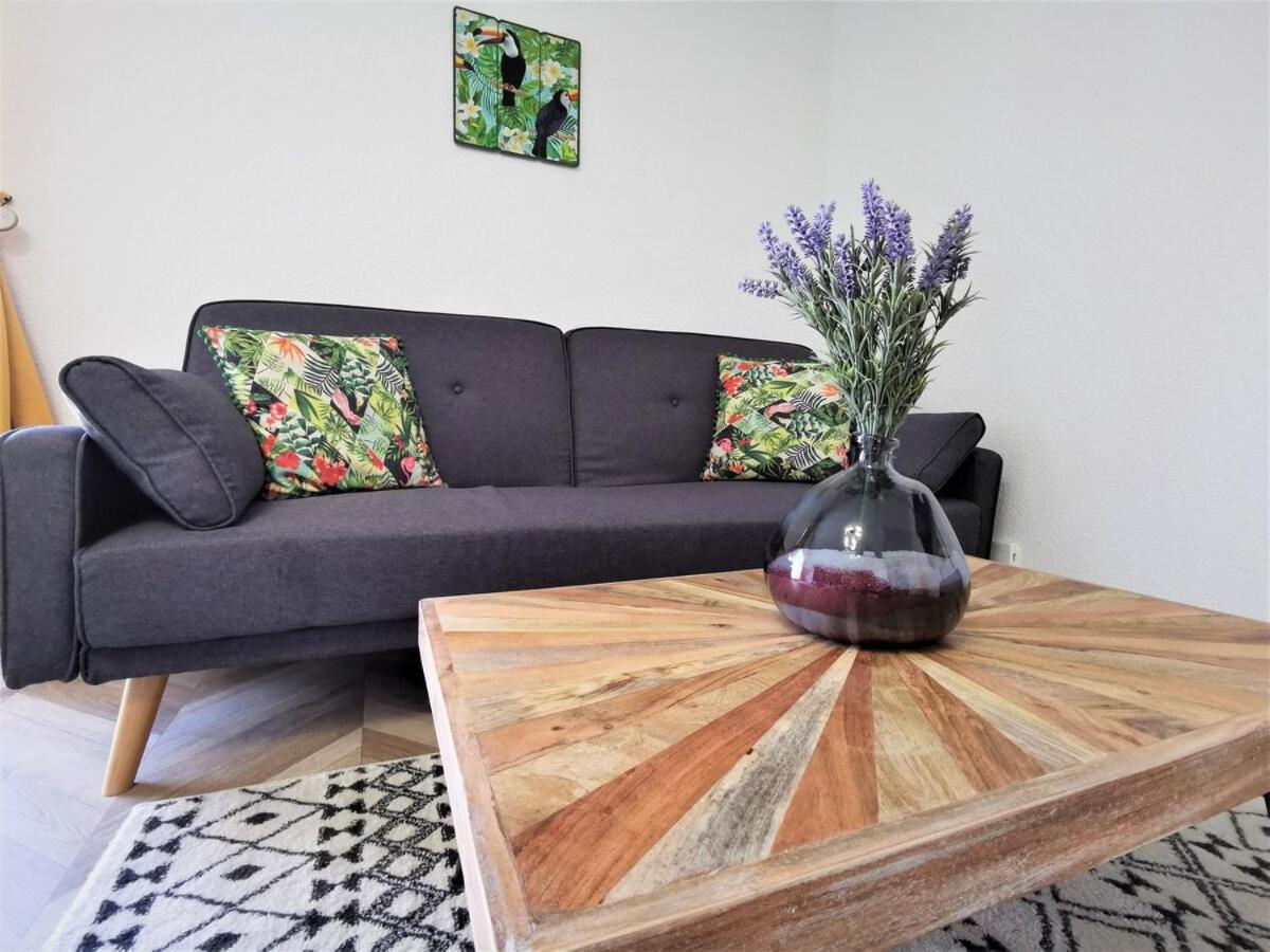T2 Cosy ₪ Residence Securise ₪ Airbus ₪ Piscine Colomiers Exterior foto